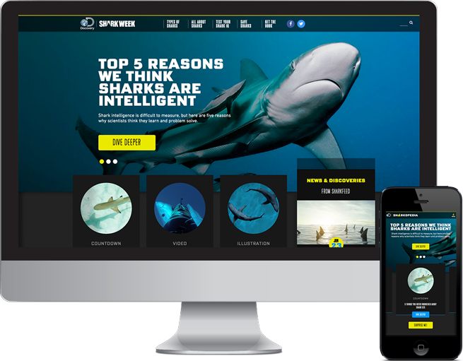 Sharkopedia web design case study
